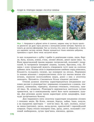 170
Розділ III. Природні умови і  ресурси України
із них складаються з  дубів і  грабів із домішками клена, липи, бере-
зи, бука, вільхи, осики, в’яза, лісової яблуні, дикої груші (мал.  1).
Клен представлений трьома видами: гостролистий, польовий і татар-
ський. Із чагарників поширені ліщина, калина, бруслина, глід. Лі-
щина і  клен татарський можуть утворювати густі хащі на узліссях
дубових лісів. Площа лісів із переважанням хвойних порід невелика,
більшість складають соснові, що поширені на пісках. Порівняно
із зонами мішаних і  широколистяних лісів тут значно менше пів-
нічних, відносно вологолюбних видів, деякі з  них у  лісостепу
зникають. Натомість з’яв­ляються більш південні рослини.
Степові ділянки лісостепу характеризуються поєднанням зла-
кових рослин із різнотрав’ям і переважно складаються з ковили, тон-
конога, конюшини, горицвіту, молочаю степового, стоколосу, шав-
лії (мал.  2), астрагалу. Різнотрав’я вирізняється настільки густим
травостоєм, що в  повсякденному житті його часто називають лука-
ми. Для річкових долин також характерні лучні ландшафти, поде-
куди зустрічаються болотні.
Для тваринного світу лісостепу характерне поєднання лісових
і  степових видів. Це білка, лисиця, борсук, кабан, їжак, козуля,
а  на відкритих просторах  — хом’як (мал.  3), кріт, полівка, польо-
ва миша (житник), ласка, заєць-русак, крапчастий і  європейський
ховрахи. Серед птахів поширені сова, дрізд, дятел, польовий і  сте-
повий жайворонки, лучна трав’янка, вівсянка, дрохва.
Мал. 1. Напровесні в  діброві світло й  сонячно, завдяки чому тут багато проліс-
ки дволистої. Це дуже гарна рослина з  волошково-синіми квітками. Проліска на-
лежить до рослин-ефемероїдів. Уже на початку літа, коли ліс вбирається в  листя,
уся надземна частина засихає. Живою залишається тільки невелика цибулина,
прихована в  ґрунті. Вона чекає наступної весни.
 