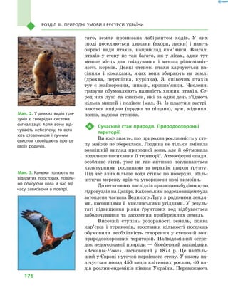 176
Розділ III. Природні умови і  ресурси України
гато, земля пронизана лабіринтом ходів. У  них
іноді поселяються хижаки (тхори, ласки) і  навіть
окремі види птахів, наприклад кам’янки. Взагалі
птахів у  степу не так багато, як у  лісах, адже тут
менше місць для гніздування і  менша різноманіт-
ність кормів. Деякі степові птахи харчуються на-
сінням і  комахами, яких вони збирають на землі
(дрохва, перепілка, куріпка). Зі співочих птахів
тут є  жайворонки, шпаки, кро­пив’янки. Численні
гризуни обумовлюють наявність хижих птахів. Се-
ред них луні та канюки, які за один день з’їдають
кілька мишей і полівок (мал. 3). Із плазунів зустрі-
чаються ящірки (прудка та піщана), вуж, мідянка,
полоз, гадюка степова.
4	 Сучасний стан природи. Природоохоронні
території.
Ви вже знаєте, що природна рослинність у сте-
пу майже не збереглася. Людина не тільки змінила
зовнішній вигляд природної зони, але й  обумовила
подальше висихання її території. Атмосферні опади,
особливо літні, уже не так активно поглинаються
культурними рослинами та верхнім шаром ґрунту.
Під час злив більше води стікає по поверхні, збіль-
шуючи мережу ярів та утворюючи нові вимоїни.
До негативних наслідків призводить будівництво
гідровузлів на Дніпрі. Каховським водосховищем була
затоплена частина Великого Лугу з  родючими земля-
ми, косовицями й  мисливськими угіддями. У  резуль-
таті підвищення рівня ґрунтових вод відбувається
заболочування та засолення прибережних земель.
Високий ступінь розораності земель, поява
кар’єрів і  териконів, зростання кількості поселень
обумовили необхідність створення у  степовій зоні
природоохоронних територій. Найвідоміший осере­
док недоторканої природи — біосферний заповідник
«Асканія-Нова», заснований у  1874  р. Це найбіль-
ший у Європі куточок первісного степу. У ньому на-
лічується понад 450 видів квіткових рослин, 40 ви-
дів рослин-ендеміків півдня України. Переважають
Мал. 2. У  деяких видів гри-
зунів є  своєрідна система
сигналізації. Коли вони від-
чувають небезпеку, то вста-
ють стовпчиком і  гучним
свистом сповіщають про це
своїх родичів.
Мал. 3. Канюки полюють на
відкритих просторах, повіль-
но описуючи кола й  час від
часу зависаючи в  повітрі.
 