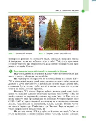 185
Тема 7. Ландшафти України
повторною: рідкісні та зникаючі види, унікальні природні явища
й  утворення, яких не побачиш ніде у  світі. Тому слід проявляти
особливу турботу про збереження та раціональне використання при-
родних ресурсів Карпат.
1	 Вертикальна (висотна) поясність ландшафтів Карпат.
Під час підняття на вершини Карпат чітко простежується різ-
ниця у  вигляді гірських ландшафтів.
На горбогір’ях Закарпаття та Передкарпаття на висоті 400—
700 м поширений передгірний пояс широколистяних лісів, що скла-
дається з  дуба звичайного з  домішками інших видів дерев: дуба
скельного, бука, ясеня, граба, ялиці, а  також чагарників та різно­
трав’я на сірих лісових ґрунтах.
Близько 70 % площі Карпат займає низькогірний пояс із бу-
кових та мішаних ялицево-смереково-букових лісів (1000—1200  м)
на буроземних та дерново-буроземних ґрунтах (мал. 1). При подаль-
шому піднятті стає прохолодніше та вологіше. Середньогірний пояс
(1200—1500  м) представлений ялиновими та ялиново-смерековими
лісами, чагарниками із жимолості, вільхи, ялівцю. Верхні части-
ни схилів Чорногори, Рахівських гір, Чивчин, Горган вкриті гус-
тими смерековими лісами (мал.  2).
На висотах понад 1500 м у субальпійському високогір’ї з’явля­
ється криволісся з  низькорослих сосни гірської, вільхи, ялівцю,
Мал. 1. Буковий ліс восени. Мал. 2. Смерека (ялина європейська).
 