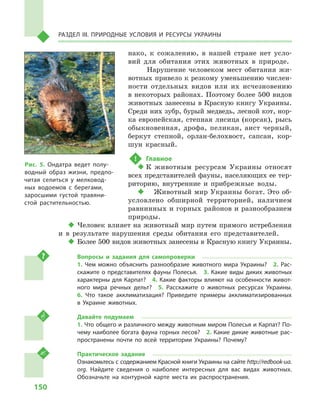 150
Раздел III. Природные условия и ресурсы Украины
нако, к  сожалению, в  нашей стране нет усло-
вий для обитания этих животных в  природе.
Нарушение человеком мест обитания жи-
вотных привело к резкому уменьшению числен-
ности отдельных видов или их исчезновению
в некоторых районах. Поэтому более 500 видов
животных занесены в Красную книгу Украины.
Среди них зубр, бурый медведь, лесной кот, нор-
ка европейская, степная лисица (корсак), рысь
обыкновенная, дрофа, пеликан, аист черный,
беркут степной, орлан-белохвост, сапсан, кор-
шун красный.
!	 Главное
‹‹ К животным ресурсам Украины относят
всех представителей фауны, населяющих ее тер-
риторию, внутренние и  прибрежные воды.
‹‹ Животный мир Украины богат. Это об-
условлено обширной территорией, наличием
равнинных и горных районов и разнообразием
природы.
‹‹ Человек влияет на животный мир путем прямого истребления
и  в результате нарушения среды обитания его представителей.
‹‹ Более 500 видов животных занесены в Красную книгу Украины.
Вопросы и  задания для самопроверки
1.  Чем можно объяснить разнообразие животного мира Украины?  2.  Рас-
скажите о представителях фауны Полесья.  3. Какие виды диких животных
характерны для Карпат?  4.  Какие факторы влияют на особенности живот-
ного мира речных дельт?  5.  Расскажите о  животных ресурсах Украины. 
6.  Что такое акклиматизация? Приведите примеры акклиматизированных
в  Украине животных.
Давайте подумаем
1. Что общего и различного между животным миром Полесья и Карпат? По-
чему наиболее богата фауна горных лесов?  2. Какие дикие животные рас-
пространены почти по всей территории Украины? Почему?
Практическое задание
Ознакомьтесь с содержанием Красной книги Украины на сайте http://redbook-ua.
org. Найдите сведения о  наиболее интересных для вас видах животных.
Обозначьте на контурной карте места их распространения.
Рис. 5. Ондатра ведет полу-
водный образ жизни, предпо-
читая селиться у  мелковод-
ных водоемов с  берегами,
заросшими густой травяни-
стой растительностью.
 
