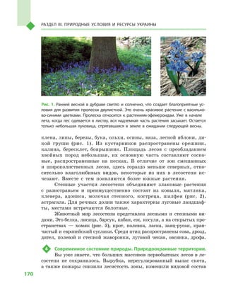 170
Раздел III. Природные условия и ресурсы Украины
клена, липы, березы, бука, ольхи, осины, вяза, лесной яблони, ди-
кой груши (рис.  1). Из кустарников распространены орешник,
калина, бересклет, боярышник. Площадь лесов с  преобладанием
хвойных пород небольшая, их основную часть составляют сосно-
вые, распространенные на песках. В  отличие от зон смешанных
и  широколиственных лесов, здесь гораздо меньше северных, отно-
сительно влаголюбивых видов, некоторые из них в  лесостепи ис-
чезают. Вместе с  тем появляются более южные растения.
Степные участки лесостепи объединяют злаковые растения
с  разнотравьем и  преимущественно состоят из ковыля, мятлика,
клевера, адониса, молочая степного, костреца, шалфея (рис. 2),
астрагала. Для речных долин также характерны луговые ландшаф-
ты, местами встречаются болотные.
Животный мир лесостепи представлен лесными и  степными ви-
дами. Это белка, лисица, барсук, кабан, еж, косуля, а на открытых про-
странствах  — хомяк (рис. 3), крот, полевка, ласка, заяц-русак, крап-
частый и европейский суслики. Среди птиц распространены сова, дрозд,
дятел, полевой и  степной жаворонки, луговой чекан, овсянка, дрофа.
4	 Современное состояние природы. Природоохранные территории.
Вы уже знаете, что больших массивов первобытных лесов в ле-
состепи не сохранилось. Вырубка, нерегулированный выпас скота,
а также пожары снизили лесистость зоны, изменили видовой состав
Рис. 1. Ранней весной в  дубраве светло и  солнечно, что создает благоприятные ус-
ловия для развития пролески двулистной. Это очень красивое растение с  василько-
во-синими цветками. Пролеска относится к  растениям-эфемероидам. Уже в  начале
лета, когда лес одевается в  листву, вся надземная часть растения засыхает. Остается
только небольшая луковица, спрятавшаяся в  земле в  ожидании следующей весны.
 