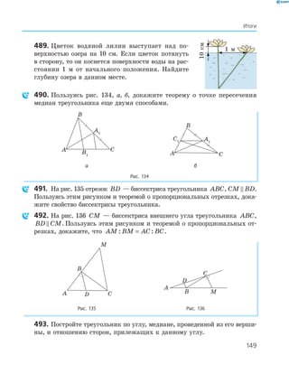 149
Итоги
489. Цветок водяной лилии выступает над по­
верхностью озера на 10 см. Если цветок потянуть
в сторону, то он коснется поверхности воды на рас­
стоянии 1 м от начального положения. Найдите
глубину озера в данном месте.
490. Пользуясь рис. 134, а, б, докажите теорему о точке пересечения
медиан треугольника еще двумя способами.
A1
B1
A
B
C
A1
C1
A
B
C
а б
Рис. 134
491. На рис. 135 отрезок BD — биссектриса треугольника ABC, CM BD.
Пользуясь этим рисунком и теоремой о пропорциональных отрезках, дока­
жите свойство биссектрисы треугольника.
492. На рис. 136 CM — биссектриса внешнего угла треугольника ABC,
BD CM. Пользуясь этим рисунком и теоремой о пропорциональных от­
резках, докажите, что AM BM AC BC: := .
A
B
C
M
D
A
B
C
M
D
Рис. 135 Рис. 136
493. Постройте треугольник по углу, медиане, проведенной из его верши­
ны, и отношению сторон, прилежащих к данному углу.
10см
1 м
 