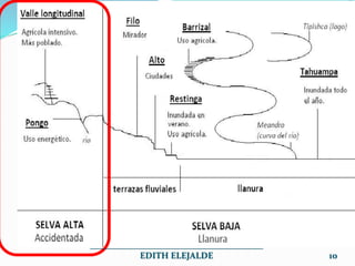 _______________________________________
EDITH ELEJALDE 10
 