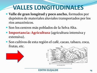 VALLES LONGITUDINALES
 Valle de gran longitud y poco ancho, formados por
depósitos de materiales aluviales transportados por los
ríos amazónicos.
 Son los centros más poblados de la Selva Alta.
 Importancia: Agricultura (agricultura intensiva y
extensiva).
 Son cultivos de esta región el café, cacao, tabaco, coca,
frutas, etc.
_______________________________________
EDITH ELEJALDE 14
 