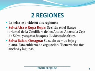 2 REGIONES
 La selva se divide en dos regiones:
 Selva Alta o Rupa Rupa: Se sitúa en el flanco
oriental de la Cordillera de los Andes. Abarca la Ceja
de Selva, yungas o bosques lluviosos de altura.
 Selva Baja u Omagua: Su suelo es muy bajo y
plano. Está cubierto de vegetación. Tiene varios ríos
anchos y lagunas.
_______________________________________
EDITH ELEJALDE 5
 