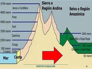 _______________________________________
EDITH ELEJALDE 6
 