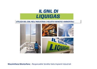 UTILIZZI DEL GNL NELL'INDUSTRIA E RELATIVI BENEFICI AMBIENTALI
Massimiliano Montorfano – Responsabile Vendite Italia Impianti Industriali
 