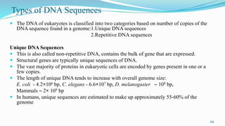 Unique Dna Sequences Example nucleic acid.pptx