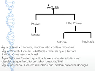 Água
Mineral
Salobra Inquinada
Água Potável – É incolor, inodora, não contém micróbios.
Potável Não Potável
Água Mineral- Contém substâncias minerais que a tornam
indicada para uso medicinal
Água Salobra- Contem quantidade excessiva de substâncias
dissolvidas que lhe dão um sabor desagradável.
Água Inquinada- Contêm micróbios que podem provocar doenças
 