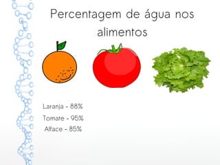 Percentagem de água nos
alimentos
Laranja – 88%
Tomate – 95%
Alface – 85%
 