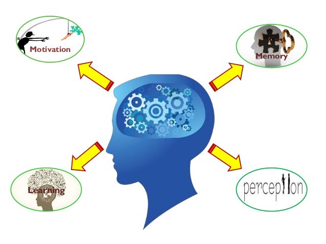what major psychological processes influence consumer responses to th
