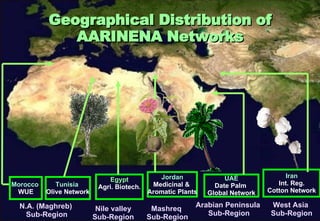 Geographical Distribution of AARINENA Networks Tunisia  Olive Network Jordan Medicinal &  Aromatic Plants UAE Date Palm  Global Network Iran Int. Reg. Cotton Network N.A. (Maghreb)  Sub-Region Mashreq  Sub-Region Arabian Peninsula  Sub-Region West Asia  Sub-Region Morocco  WUE Egypt Agri.   Biotech. Nile valley Sub-Region 