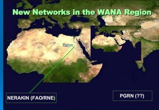 New Networks in the WANA Region Egypt NERAKIN (FAO/RNE ) PGRN (??)   