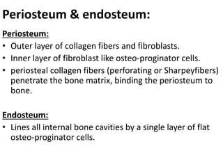 8, Histology of bone.pptx