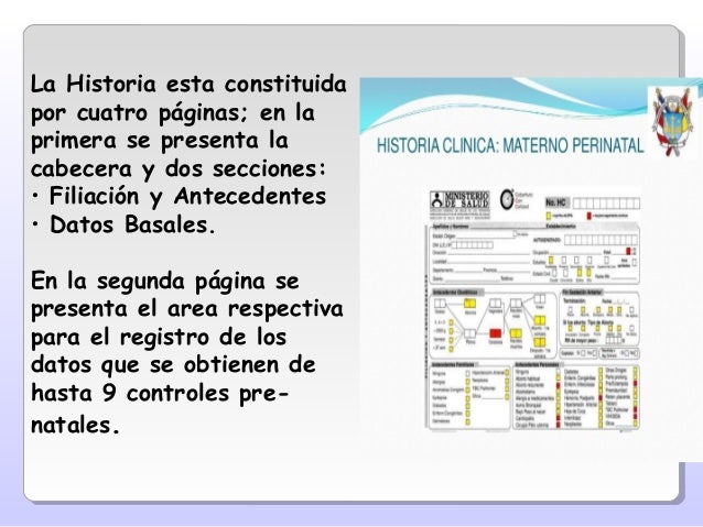 Historia Clinica Perinatal