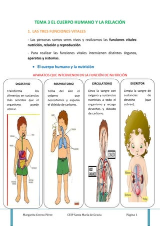 Margarita Cerezo Pérez CEIP Santa María de Gracia Página 1
TEMA 3 EL CUERPO HUMANO Y LA RELACIÓN
1. LAS TRES FUNCIONES VITALES
- Las personas somos seres vivos y realizamos las funciones vitales:
nutrición, relación y reproducción
- Para realizar las funciones vitales intervienen distintos órganos,
aparatos y sistemas.
 El cuerpo humano y la nutrición
APARATOS QUE INTERVIENEN EN LA FUNCIÓN DE NUTRICIÓN
DIGESTIVO
Transforma los
alimentos en sustancias
más sencillas que el
organismo puede
utilizar.
RESPIRATORIO
Toma del aire el
oxígeno que
necesitamos y expulsa
el dióxido de carbono.
CIRCULATORIO
Lleva la sangre con
oxígeno y sustancias
nutritivas a todo el
organismo y recoge
desechos y dióxido
de carbono.
EXCRETOR
Limpia la sangre de
sustancias de
desecho (que
sobran).
 