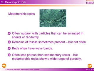 © OUP: To be used solely in purchaser’s school or college
8H Metamorphic rock
Often ‘sugary’ with particles that can be arranged in
sheets or randomly.
Remains of fossils sometimes present – but not often.
Beds often have wavy bands.
Often less porous than sedimentary rocks – but
metamorphic rocks show a wide range of porosity.
Metamorphic rocks
 