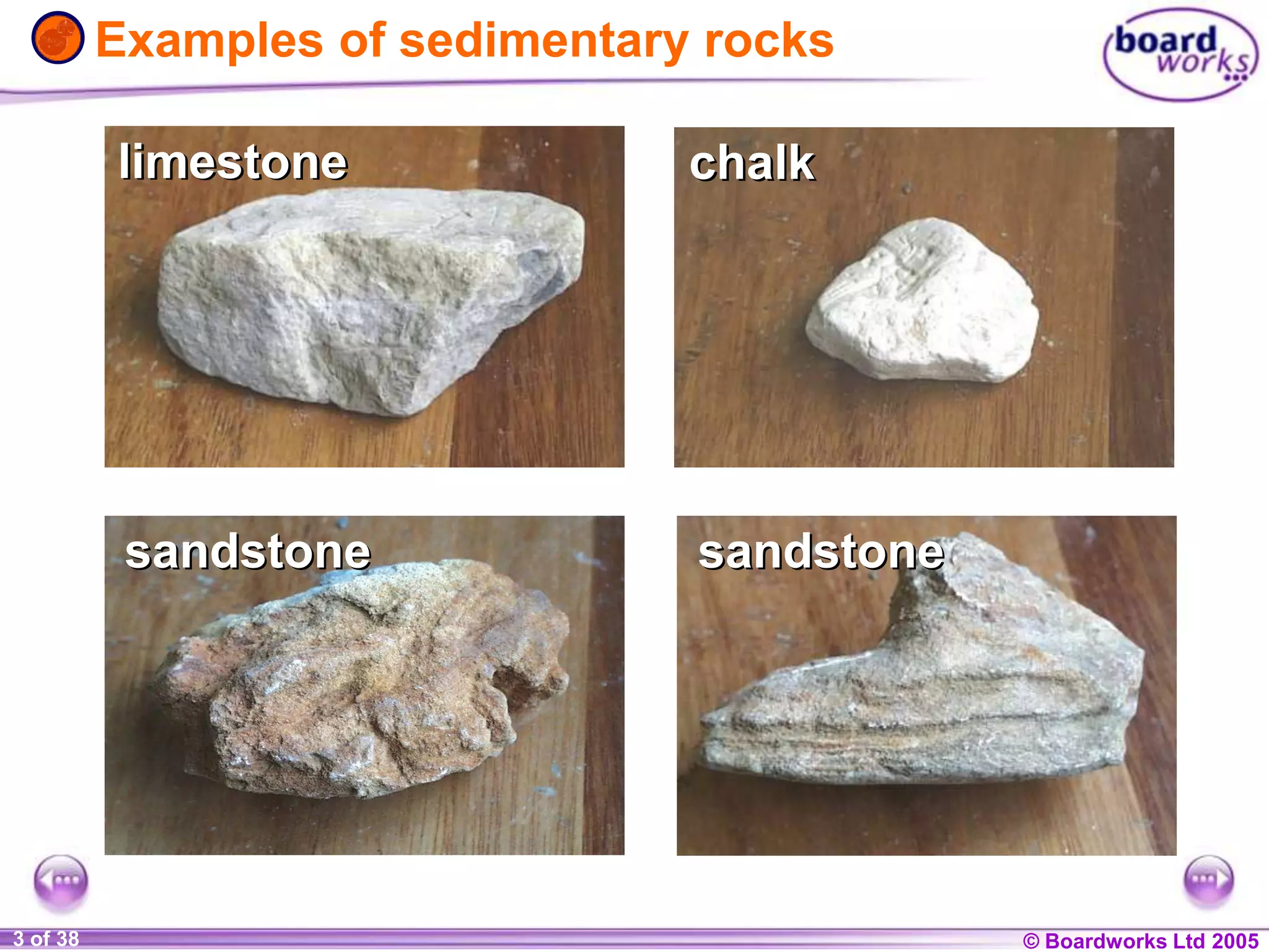 © Boardworks Ltd 20041 of 20 © Boardworks Ltd 20053 of 38
Examples of sedimentary rocks
limestonelimestone chalkchalk
sandstonesandstone sandstonesandstone
 