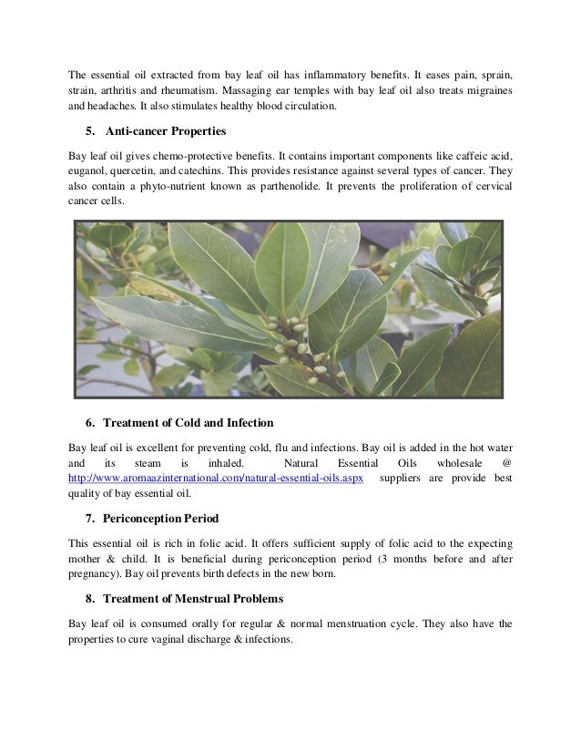 8 important health benefits of bay leaf essential oils
