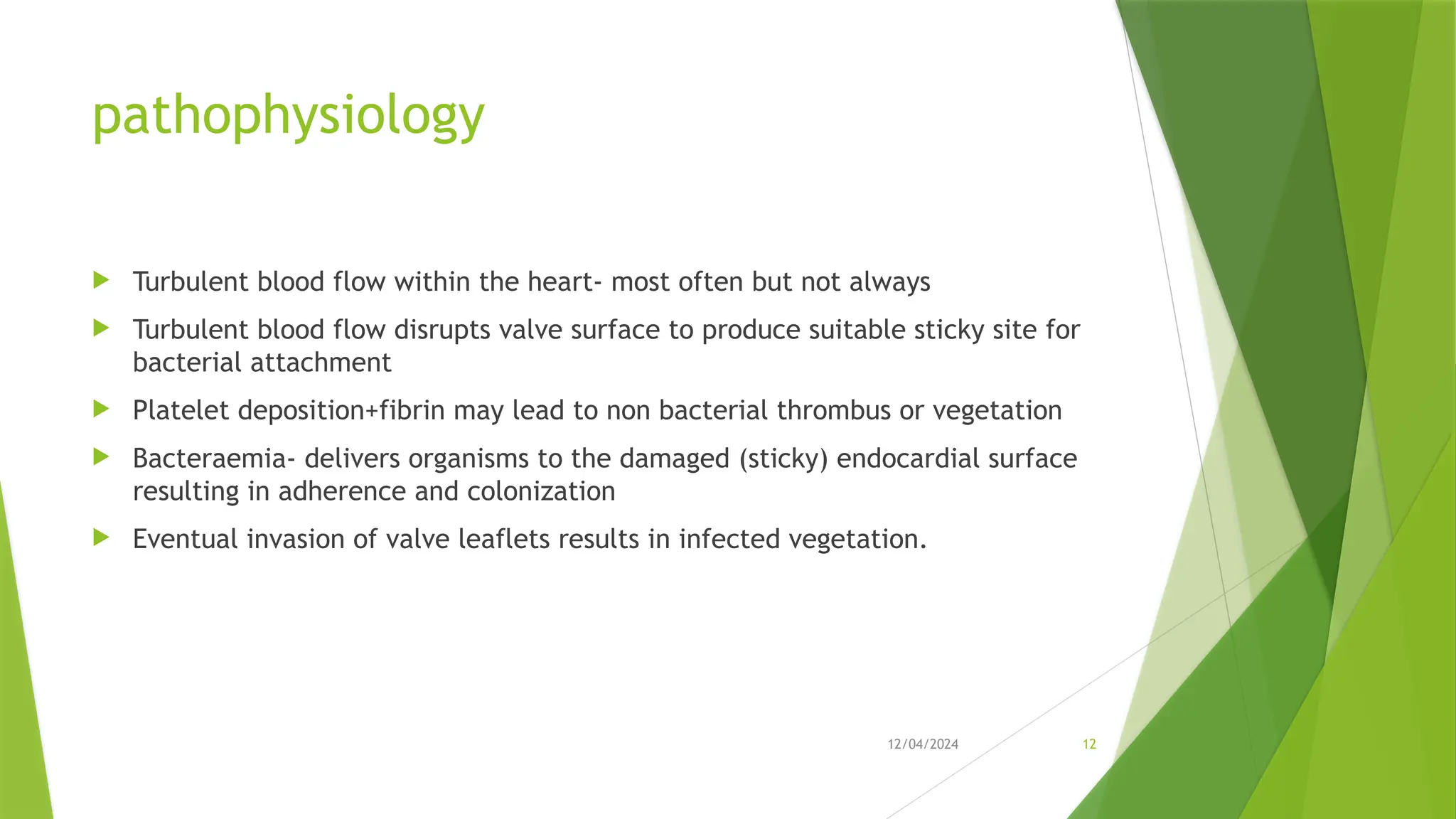 12/04/2024 12
pathophysiology
 Turbulent blood flow within the heart- most often but not always
 Turbulent blood flow disrupts valve surface to produce suitable sticky site for
bacterial attachment
 Platelet deposition+fibrin may lead to non bacterial thrombus or vegetation
 Bacteraemia- delivers organisms to the damaged (sticky) endocardial surface
resulting in adherence and colonization
 Eventual invasion of valve leaflets results in infected vegetation.
 