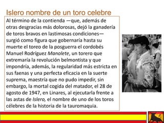 Islero nombre de un toro celebre
Al término de la contienda —que, además de
otras desgracias más dolorosas, dejó la ganadería
de toros bravos en lastimosas condiciones—
surgió como figura que gobernaría hasta su
muerte el toreo de la posguerra el cordobés
Manuel Rodríguez Manolete, un torero que
extremaría la revolución belmontista y que
impondría, además, la regularidad más estricta en
sus faenas y una perfecta eficacia en la suerte
suprema, maestría que no pudo impedir, sin
embargo, la mortal cogida del matador, el 28 de
agosto de 1947, en Linares, al ejecutarla frente a
las astas de Islero, el nombre de uno de los toros
célebres de la historia de la tauromaquia.
 