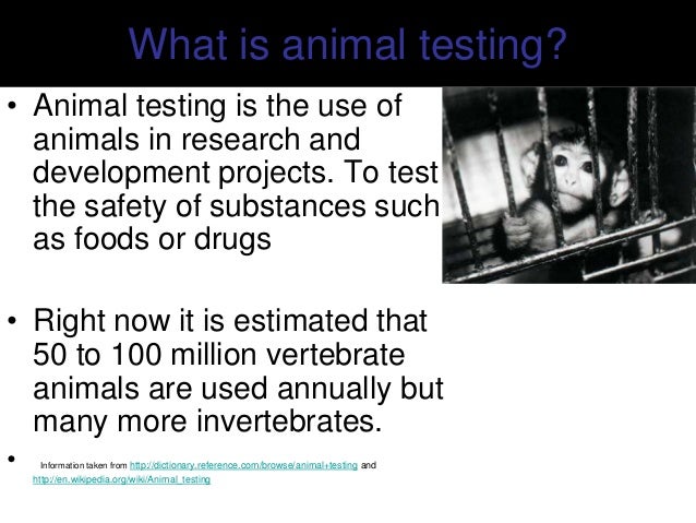 animal-testing