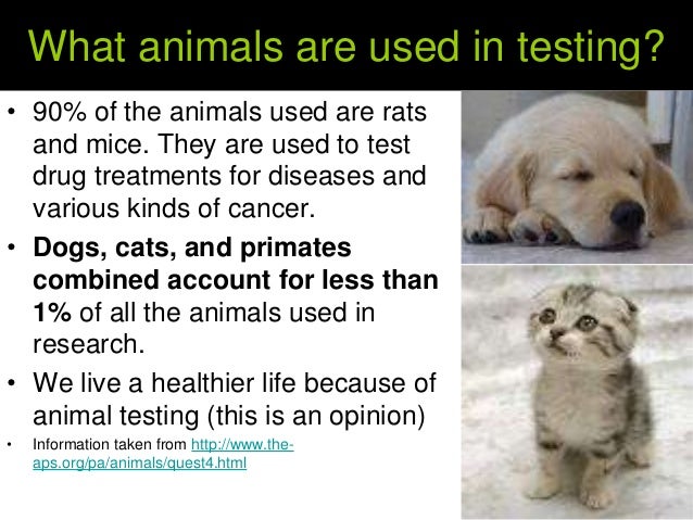 Companies That Test On Dogs And Cats Companies That Test On Dogs And Cats