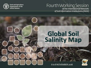 Global Soil
Salinity Map
 