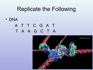 Replicate the Following
• DNA
A T T C G A T
T A A G C T A
 