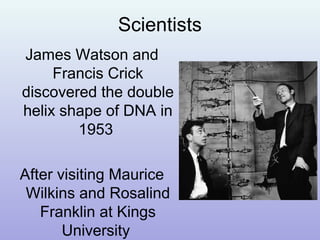 Scientists
James Watson and
Francis Crick
discovered the double
helix shape of DNA in
1953
After visiting Maurice
Wilkins and Rosalind
Franklin at Kings
University
 