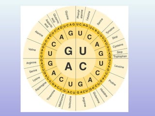 The Genetic Code
 