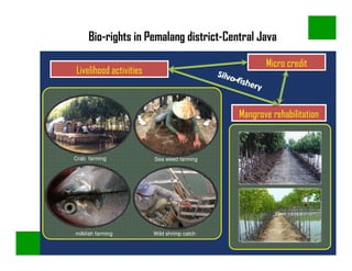 Community Based Approaches: Silvo-Fisheries, Bio-rights and Blue Carbon ...