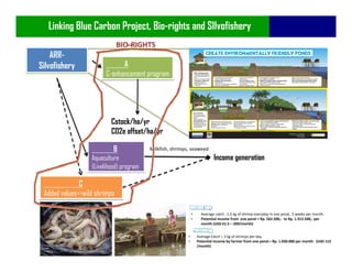 Community Based Approaches: Silvo-Fisheries, Bio-rights and Blue Carbon ...