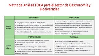 Análisis de Estudios de Caso en Perú