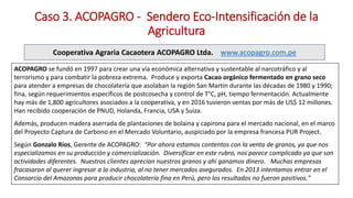 Análisis de Estudios de Caso en Perú