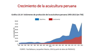 Análisis de Estudios de Caso en Perú