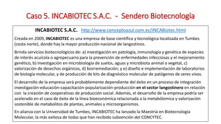 Análisis de Estudios de Caso en Perú