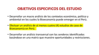 Análisis de Estudios de Caso en Perú