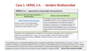 Análisis de Estudios de Caso en Perú