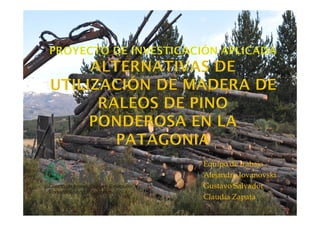 Equipo de trabajo
Alejandro Jovanovski
Gustavo Salvador
Claudia Zapata
Centro de Investigación y Extensión
Forestal Andino Patagónico
 