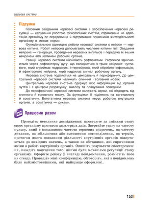 Нервова﻿ система
153
Підсумки
Головним завданням нервової системи є забезпечення нервової ре-
гуляції — керування роботою фізіологічних систем, спрямоване на адап-
тацію організму до середовища й підтримання показників життєдіяльності
організму в межах норми.
Функціональною одиницею роботи нервової системи є нейрон — нер-
вова клітина. Роботі нейрона допомагають численні клітини глії. Завдання
нейрона — генерація, проведення нервових імпульсів і передача їх іншим
нейронам або клітинам робочих органів.
Реакції нервової системи називають рефлексами. Рефлекси здійсню-
ються через рефлекторну дугу, що складається з трьох нейронів: чутли-
вого, який сприймає подразник, інтернейрона, який обробляє інформацію,
й ефекторного нейрона, який надсилає сигнал робочому органу.
Нервова система поділяється на центральну й периферичну. До цен-
тральної нервової системи належать спинний і головний мозок.
Центральна нервова система одержує всю інформацію від органів
чуттів і є центром розрахунку, аналізу та планування поведінки.
До периферичної нервової системи належать нерви, які відходять від
спинного й головного мозку. За функціями її поділяють на вегетативну
й соматичну. Вегетативна нервова система керує роботою внутрішніх
органів, а соматична — рухами.
Працюємо разом
Проведіть невеличке дослідження: простежте за змінами стану
свого організму протягом двох-трьох днів. Звертайте увагу на частоту
пульсу, який є показником частоти серцевих скорочень, на частоту
дихання, на збільшення або зменшення потовиділення, на термін,
протягом якого показники діяльності внутрішніх органів поверта-
ються до вихідних значень, а також на обставини, які спричинили
зміни в роботі внутрішніх органів. Опишіть результати спостережен-
ня, наведіть пояснення того, якими були механізми регуляції стану
організму. Оформте роботу у вигляді повідомлення, розмістіть його
на стенді. Проведіть міні-конференцію, обговоріть, які з повідомлень
були найзмістовнішими, які найкраще оформлені.
 