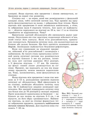 Зв’язок﻿ організму﻿ людини﻿ із﻿ зовнішнім﻿ середовищем.﻿ Сенсорні﻿ системи﻿ ﻿
159
площині. Якщо відстань між предметом і лінзою зменшується, зо-
браження на екрані стає розмитим.
Сітківка ока — це екран, який має розміщуватися у фокальній
площині лінзи, тобто оптичній системі ока. Тоді промені від пред-
метів фокусуватимуться на ньому, і зображення буде чітким. Проте
відстань між предметами й оком змінюється повсякчасно, а отже,
їх зображення мали б втрачати чіткість. Але цього не відбуваєть-
ся — обличчя перехожого на відстані як 10 м, так і 1 м за чіткістю
сприйняття не відрізняються. Чому?
Кришталик здатний збільшувати або зменшувати радіус кри-
визни. Опуклішим він стає внаслідок скорочення війкового м’яза,
який стягує його капсулу. Коли м’яз розслаблюється, кришта-
лик сплощується. Змінюючи оптичну силу, він налаштовується на
ближнє або дальнє бачення. Цю його здатність називають акомо-
дацією. Акомодація відбувається безумовно-рефлекторно.
Коли око спрямоване на віддалені предме-
ти, війковий м’яз розслаблений і акомодація є
найменшою. За такого стану кришталика оптич-
ний центр оптичної системи ока розміщується
на відстані близько 5 мм від рогівки, оптич-
на сила цієї системи дорівнює 58,5 діоптрії,
а її фокусна відстань — 17 мм. Це означає,
що фокус «живої лінзи» розміщується на сіт-
ківці. Промені, що надходять до ока від відда-
лених предметів, можна вважати паралельни-
ми. Тому, заломлюючись, вони фокусуються на
сітківці.
Якщо відстань між предметом і оком стає мен-
шою за 5–12 м, розходження променів відносно
оптичної осі збільшується. Щоб сфокусувати їх
на сітківці, необхідно збільшити оптичну силу
ока. Це й відбувається завдяки акомодації кри-
шталика. Він здатний підвищувати оптичну силу
ока більш ніж до 70 діоптрій (у молодої людини).
Проте можливості кришталика не безмежні — на-
близьте до ока палець на відстань 3–5 см, і ви
відчуєте, як його образ «розмивається». Наймен-
шу відстань, за якої на сітківці формується чіт-
ке зображення предмета, називають найближчою
точкою чіткого бачення. Для підлітків вона ста-
новить 7–10 см.
Мал. 38.3. Зоровий ана-
лізатор: 1 — око; 2 —
волокна зорового нерва;
3 — перехрест волокон;
4 — таламус; 5 — ядро
таламуса; 6 — зорова
зона (потилична частка
кори великих півкуль)
1
2
3
4
5
6
 