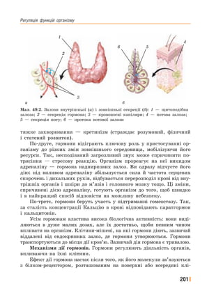 Регуляція﻿ функцій﻿ організму
201
тяжке захворювання — кретинізм (страждає розумовий, фізичний
і статевий розвиток).
По-друге, гормони відіграють ключову роль у пристосуванні ор-
ганізму до різких змін зовнішнього середовища, мобілізуючи його
ресурси. Так, несподіваний загрозливий звук може спричинити по-
трясіння — стресову реакцію. Організм прореагує на неї викидом
адреналіну — гормона надниркових залоз. Ви одразу відчуєте його
дію: під впливом адреналіну збільшується сила й частота серцевих
скорочень і дихальних рухів, відбувається перерозподіл крові від вну-
трішніх органів і шкіри до м’язів і головного мозку тощо. Ці зміни,
спричинені дією адреналіну, готують організм до того, щоб швидко
і в найкращий спосіб відповісти на можливу небезпеку.
По-третє, гормони беруть участь у підтриманні гомеостазу. Так,
за сталість концентрації Кальцію в крові відповідають паратгормон
і кальцитонін.
Усім гормонам властива висока біологічна активність: вони виді-
ляються в дуже малих дозах, але їх достатньо, щоби певним чином
впливати на організм. Клітини-мішені, на які гормони діють, зазвичай
віддалені від ендокринних залоз, де гормони утворюються. Гормони
транспортуються до місця дії кров’ю. Зазвичай дія гормона є тривалою.
Механізми дії гормонів. Гормони регулюють діяльність органів,
впливаючи на їхні клітини.
Ефект дії гормона настає після того, як його молекули зв’язуються
з білком-рецептором, розташованим на поверхні або всередині клі-
3
1
2
6 5
4
ба
Мал. 49.2. Залози внутрішньої (а) і зовнішньої секреції (б): 1 — щитоподібна
залоза; 2 — секреція гормона; 3 — кровоносні капіляри; 4 — потова залоза;
5 — секреція поту; 6 — протока потової залози
 