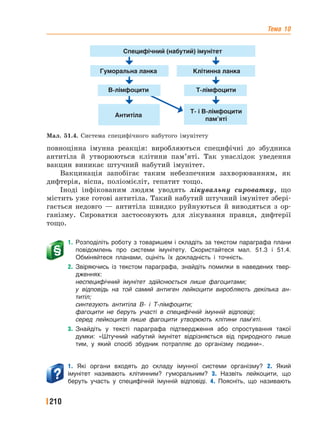 Тема 10
210
повноцінна імунна реакція: виробляються специфічні до збудника
антитіла й утворюються клітини пам’яті. Так унаслідок уведення
вакцин виникає штучний набутий імунітет.
Вакцинація запобігає таким небезпечним захворюванням, як
дифтерія, віспа, поліомієліт, гепатит тощо.
Іноді інфікованим людям уводять лікувальну сироватку, що
містить уже готові антитіла. Такий набутий штучний імунітет збері-
гається недовго — антитіла швидко руйнуються й виводяться з ор-
ганізму. Сироватки застосовують для лікування правця, дифтерії
тощо.
1. Розподіліть роботу з товаришем і складіть за текстом параграфа плани
повідомлень про системи імунітету. Скористайтеся мал. 51.3 і 51.4.
Обміняйтеся планами, оцініть їх докладність і точність.
2. Звіряючись із текстом параграфа, знайдіть помилки в наведених твер-
дженнях:
неспецифічний імунітет здійснюється лише фагоцитами;
у відповідь на той самий антиген лейкоцити виробляють декілька ан-
титіл;
синтезують антитіла В- і Т-лімфоцити;
фагоцити не беруть участі в специфічній імунній відповіді;
серед лейкоцитів лише фагоцити утворюють клітини пам’яті.
3. Знайдіть у тексті параграфа підтвердження або спростування такої
думки: «Штучний набутий імунітет відрізняється від природного лише
тим, у який спосіб збудник потрапляє до організму людини».
1. Які органи входять до складу імунної системи організму? 2. Який
імунітет називають клітинним? гуморальним? 3. Назвіть лейкоцити, що
беруть участь у специфічній імунній відповіді. 4. Поясніть, що називають
Мал. 51.4. Система специфічного набутого імунітету
Специфічний (набутий) імунітет
Гуморальна ланка
В-лімфоцити
Антитіла
Т-лімфоцити
Т- і В-лімфоцити
пам’яті
Клітинна ланка
 