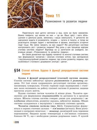 220
Тема 11
Розмноження та розвиток людини
Перегляньте свої дитячі світлини у віці, коли ви були немовлям.
Важко повірити, що малюк на них — це ви. Ваші зріст і вага збіль-
шилися в декілька разів, змінилась і ваша зовнішність. У дитинстві ви
навчилися ходити й розмовляти, згодом — читати й писати, а тепер ви
розв’язуєте складні задачі з математики й фізики, аналізуєте історичні
події тощо. Які зміни чекають на вас надалі? Які регуляторні системи
контролюють ріст і розвиток людини? Яку роль у цих процесах відіграє
статева система людини? Відповіді на ці запитання ви знайдете, ви-
вчивши розділ «Розмноження та розвиток людини».
Ви також дізнаєтеся про будову чоловічої та жіночої статевих систем;
про формування чоловічих і жіночих статевих клітин; про запліднення
і внутрішньоутробний розвиток людини; про етапи розвитку людини; про
особливості статевого дозрівання хлопців і дівчат.
§54 Статеві клітини. Будова й функції репродуктивної системи
людини
Будова й функції репродуктивної (статевої) системи людини.
Статева система забезпечує процеси розмноження й розвитку лю-
дини. Усі їхні етапи координують регуляторні системи організму,
насамперед гуморальна. Статеві гормони кори надниркових і стате-
вих залоз впливають на роботу статевої системи й розвиток людини
протягом усього життя.
Будова статевих систем чоловіка й жінки різна. Чоловіча при-
значена для формування сперматозоїдів та доставки їх в організм
жінки. Жіноча статева система створює умови для дозрівання і за-
пліднення яйцеклітин, розвитку зародка, забезпечує пологи. Обидві
системи складаються з внутрішніх і зовнішніх статевих органів.
Чоловіча статева система (мал. 54.1). Сперматозоїди форму-
ються в парних статевих залозах — сім’яниках (яєчках). Вони розта-
шовані в шкіряних мішечках — мошонці, розміщеній поза черевною
порожниною. Завдяки цьому температура в сім’яниках становить
близько 34 °С, що є необхідною умовою дозрівання гамет. У пухкій
 