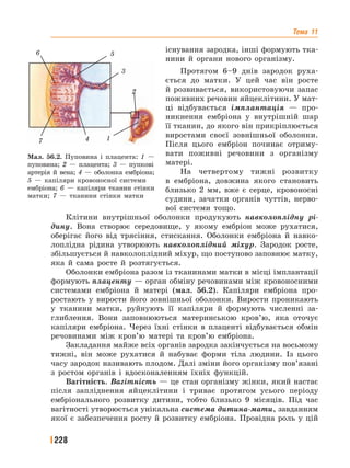 Тема 11
228
існування зародка, інші формують тка-
нини й органи нового організму.
Протягом 6–9 днів зародок руха-
ється до матки. У цей час він росте
й розвивається, використовуючи запас
поживних речовин яйцеклітини. У мат-
ці відбувається імплантація — про-
никнення ембріона у внутрішній шар
її тканин, до якого він прикріплюється
виростами своєї зовнішньої оболонки.
Після цього ембріон починає отриму-
вати поживні речовини з організму
матері.
На четвертому тижні розвитку
в ембріона, довжина якого становить
близько 2 мм, вже є серце, кровоносні
судини, зачатки органів чуттів, нерво-
вої системи тощо.
Клітини внутрішньої оболонки продукують навколоплідну рі-
дину. Вона створює середовище, у якому ембріон може рухатися,
оберігає його від трясіння, стискання. Оболонки ембріона й навко-
лоплідна рідина утворюють навколоплідний міхур. Зародок росте,
збільшується й навколоплідний міхур, що поступово заповнює матку,
яка й сама росте й розтягується.
Оболонки ембріона разом із тканинами матки в місці імплантації
формують плаценту — орган обміну речовинами між кровоносними
системами ембріона й матері (мал. 56.2). Капіляри ембріона про-
ростають у вирости його зовнішньої оболонки. Вирости проникають
у тканини матки, руйнують її капіляри й формують численні за-
глиблення. Вони заповнюються материнською кров’ю, яка оточує
капіляри ембріона. Через їхні стінки в плаценті відбувається обмін
речовинами між кров’ю матері та кров’ю ембріона.
Закладання майже всіх органів зародка закінчується на восьмому
тижні, він може рухатися й набуває форми тіла людини. Із цього
часу зародок називають плодом. Далі зміни його організму пов’язані
з ростом органів і вдосконаленням їхніх функцій.
Вагітність. Вагітність — це стан організму жінки, який настає
після запліднення яйцеклітини і триває протягом усього періоду
ембріонального розвитку дитини, тобто близько 9 місяців. Під час
вагітності утворюється унікальна система дитина-мати, завданням
якої є забезпечення росту й розвитку ембріона. Провідна роль у цій
Мал. 56.2. Пуповина і плацента: 1 —
пуповина; 2 — плацента; 3 — пупкові
артерія й вена; 4 — оболонка ембріона;
5 — капіляри кровоносної системи
ембріона; 6 — капіляри тканин стінки
матки; 7 — тканини стінки матки
7 4 1
3
2
56
 