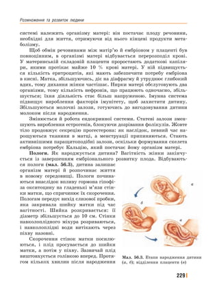 Розмноження﻿ та﻿ розвиток﻿ людини
229
системі належить організму матері: він постачає плоду речовини,
необхідні для життя, отримуючи від нього кінцеві продукти мета-
болізму.
Щоб обмін речовинами між матір’ю й ембріоном у плаценті був
повноцінним, в організмі матері відбувається перерозподіл крові.
У материнській складовій плаценти проростають додаткові капіля-
ри, якими протікає майже 10 % крові матері. У ній підвищуєть-
ся кількість еритроцитів, які мають забезпечити потребу ембріона
в кисні. Матка, збільшуючись, діє на діафрагму й утруднює глибокий
вдих, тому дихання жінки частішає. Нирки матері обслуговують два
організми, тому кількість нефронів, що працюють одночасно, збіль-
шується; їхня діяльність стає більш напруженою. Імунна система
підвищує вироблення факторів імунітету, щоб захистити дитину.
Збільшуються молочні залози, готуючись до вигодовування дитини
молоком після народження.
Змінюється й робота ендокринної системи. Статеві залози змен-
шують вироблення естрогенів, блокуючи дозрівання фолікулів. Жовте
тіло продовжує секрецію прогестерона: як наслідок, певний час на-
рощуються тканини в матці, а менструації припиняються. Стають
активнішими паращитоподібні залози, оскільки формування скелета
ембріона потребує Кальцію, який постачає йому організм матері.
Пологи. Як народжується дитина? Вагітність жінки закінчу-
ється із завершенням ембріонального розвитку плода. Відбувають-
ся пологи (мал. 56.3), дитина залишає
організм матері й розпочинає життя
в новому середовищі. Пологи почина-
ються внаслідок впливу гормона гіпофі-
за окситоцину на гладенькі м’язи стін-
ки матки, що спричинює їх скорочення.
Пологам передує вихід слизової пробки,
яка закривала шийку матки під час
вагітності. Шийка розкривається: її
діаметр збільшується до 10 см. Стінки
навколоплідного міхура розриваються,
і навколоплідні води витікають через
піхву назовні.
Скорочення стінок матки посилю-
ються, і плід просувається до шийки
матки, а потім у піхву. Зазвичай плід
виштовхується голівкою вперед. Протя-
гом кількох хвилин після народження
Мал. 56.3. Етапи народження дитини
(а, б); відділення плаценти (в)
а
б
в
 
