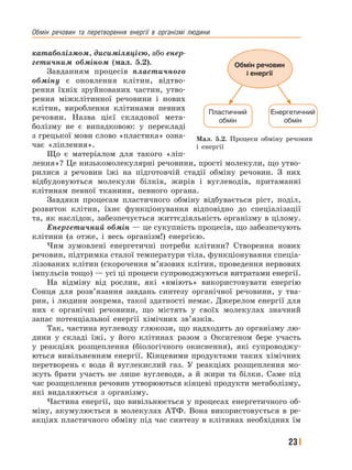 Обмін﻿ речовин﻿ та﻿ перетворення﻿ енергії﻿ в﻿ організмі﻿ людини
23
катаболізмом, дисиміляцією, або енер-
гетичним обміном (мал. 5.2).
Завданням процесів пластичного
обміну є оновлення клітин, відтво-
рення їхніх зруйнованих частин, утво-
рення міжклітинної речовини і нових
клітин, вироблення клітинами певних
речовин. Назва цієї складової мета-
болізму не є випадковою: у перекладі
з грецької мови слово «пластика» озна-
чає «ліплення».
Що є матеріалом для такого «ліп-
лення»? Це низькомолекулярні речовини, прості молекули, що утво-
рилися з речовин їжі на підготовчій стадії обміну речовин. З них
відбудовуються молекули білків, жирів і вуглеводів, притаманні
клітинам певної тканини, певного органа.
Завдяки процесам пластичного обміну відбувається ріст, поділ,
розвиток клітин, їхнє функціонування відповідно до спеціалізації
та, як наслідок, забезпечується життєдіяльність організму в цілому.
Енергетичний обмін — це сукупність процесів, що забезпечують
клітини (а отже, і весь організм!) енергією.
Чим зумовлені енергетичні потреби клітини? Створення нових
речовин, підтримка сталої температури тіла, функціонування спеціа-
лізованих клітин (скорочення м’язових клітин, проведення нервових
імпульсів тощо) — усі ці процеси супроводжуються витратами енергії.
На відміну від рослин, які «вміють» використовувати енергію
Сонця для розв’язання завдань синтезу органічної речовини, у тва-
рин, і людини зокрема, такої здатності немає. Джерелом енергії для
них є органічні речовини, що містять у своїх молекулах значний
запас потенціальної енергії хімічних зв’язків.
Так, частина вуглеводу глюкози, що надходить до організму лю-
дини у складі їжі, у його клітинах разом з Оксигеном бере участь
у реакціях розщеплення (біологічного окиснення), які супроводжу-
ються вивільненням енергії. Кінцевими продуктами таких хімічних
перетворень є вода й вуглекислий газ. У реакціях розщеплення мо-
жуть брати участь не лише вуглеводи, а й жири та білки. Саме під
час розщеплення речовин утворюються кінцеві продукти метаболізму,
які видаляються з організму.
Частина енергії, що вивільнюється у процесах енергетичного об-
міну, акумулюється в молекулах АТФ. Вона використовується в ре-
акціях пластичного обміну під час синтезу в клітинах необхідних їм
Мал. 5.2. Процеси обміну речовин
і енергії
Обмін речовин
і енергії
Пластичний
обмін
Енергетичний
обмін
 