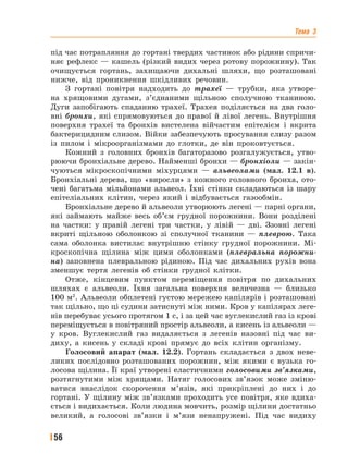 Тема 3
56
під час потрапляння до гортані твердих частинок або рідини спричи-
няє рефлекс — кашель (різкий видих через ротову порожнину). Так
очищується гортань, захищаючи дихальні шляхи, що розташовані
нижче, від проникнення шкідливих речовин.
З гортані повітря надходить до трахеї — трубки, яка утворе-
на хрящовими дугами, з’єднаними щільною сполучною тканиною.
Дуги запобігають спаданню трахеї. Трахея поділяється на два голо-
вні бронхи, які спрямовуються до правої й лівої легень. Внутрішня
поверхня трахеї та бронхів вистелена війчастим епітелієм і вкрита
бактерицидним слизом. Війки забезпечують просування слизу разом
із пилом і мікроорганізмами до глотки, де він проковтується.
Кожний з головних бронхів багаторазово розгалужується, утво-
рюючи бронхіальне дерево. Найменші бронхи — бронхіоли — закін-
чуються мікроскопічними міхурцями — альвеолами (мал. 12.1 в).
Бронхіальні дерева, що «виросли» з кожного головного бронха, ото-
чені багатьма мільйонами альвеол. Їхні стінки складаються із шару
епітеліальних клітин, через який і відбувається газообмін.
Бронхіальне дерево й альвеоли утворюють легені — парні органи,
які займають майже весь об’єм грудної порожнини. Вони розділені
на частки: у правій легені три частки, у лівій — дві. Ззовні легені
вкриті щільною оболонкою зі сполучної тканини — плеврою. Така
сама оболонка вистилає внутрішню стінку грудної порожнини. Мі-
кроскопічна щілина між цими оболонками (плевральна порожни-
на) заповнена плевральною рідиною. Під час дихальних рухів вона
зменшує тертя легенів об стінки грудної клітки.
Отже, кінцевим пунктом переміщення повітря по дихальних
шляхах є альвеоли. Їхня загальна поверхня величезна — близько
100 м2
. Альвеоли обплетені густою мережею капілярів і розташовані
так щільно, що ці судини затиснуті між ними. Кров у капілярах леге-
нів перебуває усього протягом 1 с, і за цей час вуглекислий газ із крові
переміщується в повітряний простір альвеоли, а кисень із альвеоли —
у кров. Вуглекислий газ видаляється з легенів назовні під час ви-
диху, а кисень у складі крові прямує до всіх клітин організму.
Голосовий апарат (мал. 12.2). Гортань складається з двох неве-
ликих послідовно розташованих порожнин, між якими є вузька го-
лосова щілина. Її краї утворені еластичними голосовими зв’язками,
розтягнутими між хрящами. Натяг голосових зв’язок може зміню-
ватися внаслідок скорочення м’язів, які прикріплені до них і до
гортані. У щілину між зв’язками проходить усе повітря, яке вдиха-
ється і видихається. Коли людина мовчить, розмір щілини достатньо
великий, а голосові зв’язки і м’язи ненапружені. Під час видиху
 
