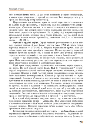 Транспорт﻿ речовин
75
ньої порожнистої вени. Ці дві вени впадають у праве передсердя,
з нього кров потрапляє у правий шлуночок. Так завершується рух
крові по великому колу кровообігу.
Циркулюючи організмом, кров по черзі переходить із великого
до малого кола кровообігу. У великому колі по артеріях тече артері-
альна кров, збагачена киснем, а по венах — венозна, насичена вугле-
кислим газом. До артерій малого кола надходить венозна кров, а по
його венах рухається артеріальна. На відміну від яскраво-червоної
артеріальної крові, венозна кров темно-червона. Час, за який кров
проходить малим колом кровообігу, становить 4–4,5 с, а великим
колом — 20–23 с.
Функції і будова серця. Серце людини розташоване в лівій час-
тині грудної клітки й має форму конуса (мал. 17.2 а). Маса серця
дорослої людини — 270–300 г. Мережа коронарних судин, яка об-
плітає серце, постачає кров його тканинам. По цих судинах у дорослої
людини протікає близько 500 л крові за добу. Які функції виконує
серце в системі кровообігу, як пов’язана з ними його будова?
Серце — це перехрестя, де змінюється «траса», якою рухається
кров. Його порожнину розділяє суцільна перегородка, яка перешко-
джає змішуванню венозної й артеріальної крові.
Щоб кров циркулювала кровоносною системою, серце працює,
як насос. Як цей живий насос (мал. 17.2 б) улаштований? Перед-
сердя і шлуночок кожної частини серця сполучені отворами, у яких
є клапани. Клапан у лівій частині серця складається з двох стулок,
його називають двостулковим. Клапан у правій частині — три-
стулковий. Клапани з’єднані з внутрішньою поверхнею шлуночка
сухожильними нитками й відкриваються лише в один бік, коли кров
із передсердя надходить до шлуночка. В отворах, якими починають-
ся артерії, також є клапани — їх називають півмісяцевими. Вони
схожі на кишеньки, вільний край яких відкритий у просвіт судин.
Ці клапани заповнюються, відкриваючись лише під час скорочення
шлуночків. Система клапанів серця перешкоджає зворотному плину
крові зі шлуночків до передсердь і з артерій — у шлуночки.
Рух крові відбувається завдяки тиску, що виникає внаслідок
скорочення серцевого м’яза — міокарда. Він утворений особливою
м’язовою тканиною — її м’язові волокна розгалужуються і формують
складну мережу. Волокна серцевого м’яза контактують між собою,
проводячи електричні імпульси.
Ізсередини міокард вистелений епітелієм — ендокардом, а зовні
вкритий епікардом, утвореним сполучною тканиною. Гладенький ен-
докард сприяє протіканню крові, а епікард виконує захисну функцію.
 